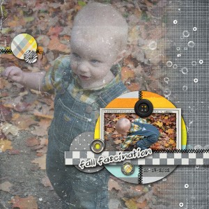 Fall Fascination