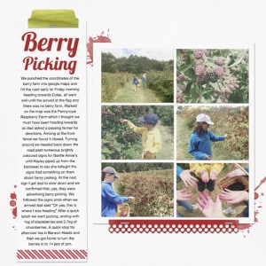 Berry Picking