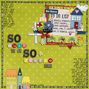 So Much To Do So Little Time