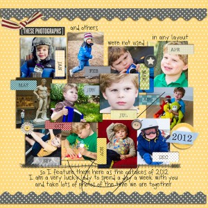 2013-1-19 year in review