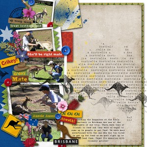 Meeting the Kangaroos