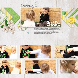 learning to share