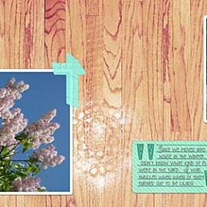 Lilacs