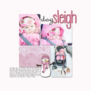 dog sleigh