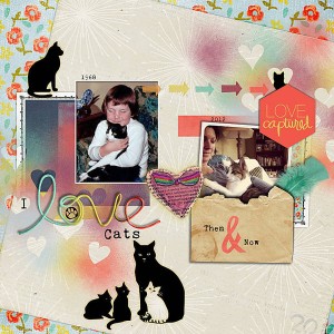 Kitty love