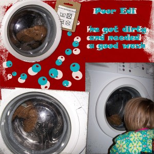 15 Jan: Washing Edi