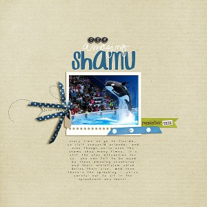 The Amazing Shamu