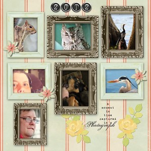 2012 in Review