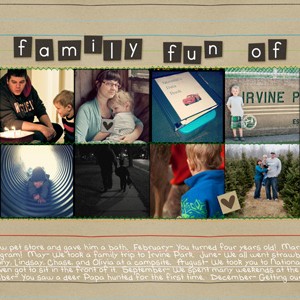2012 family fun