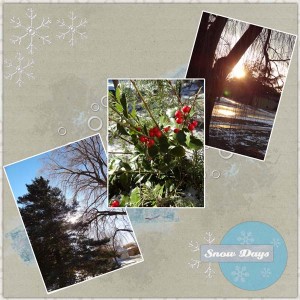 PS_-_TLP_16
