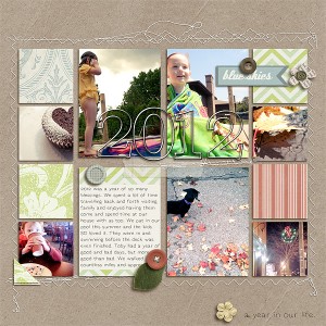 A Year In Our Life