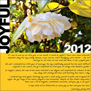 Jan 25: one word for 2012