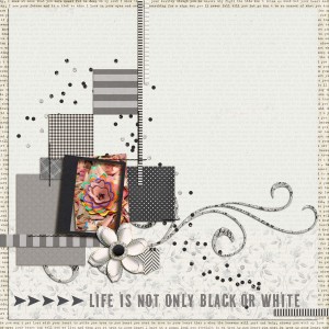 Black or White