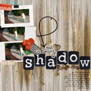 shadow