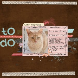 Cat in the Kitchen?