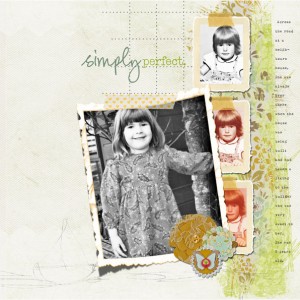 simply perfect original