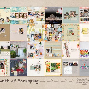 a month of scrapping