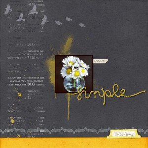 20 Jan: Simple Things