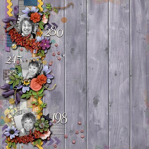 Weight loss for PRD Blog Challenge
