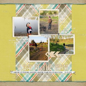 A Day At The Farm