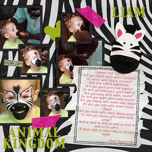 The Zebra