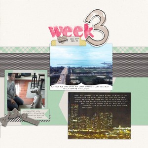 2013 week 3