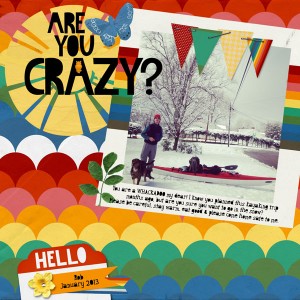 Are you crazy?