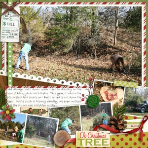 Picking Our Trees