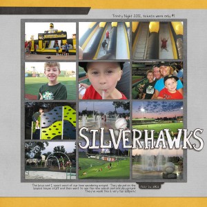 Silver Hawks