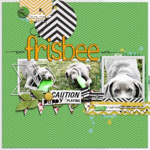 Love Me Some Frisbee