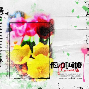 Favourite Flowers