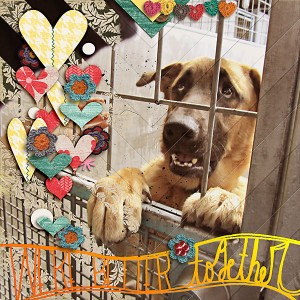 We're Better Together: Take Me Home
