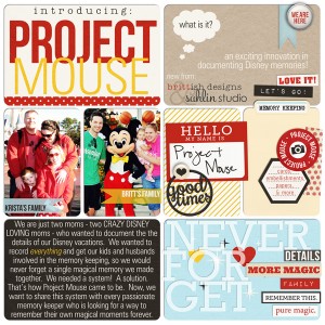 Introducing: Project Mouse