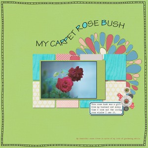 My-Rose-Bush-web