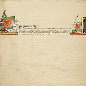 Papurr Weight