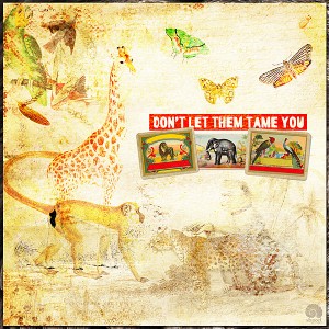 Don't Let Them Tame You