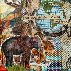 Wild and free