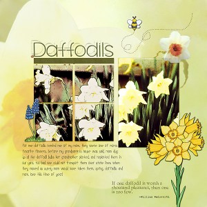 Daffodils