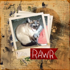 my wild thing