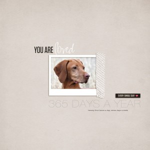 you are loved