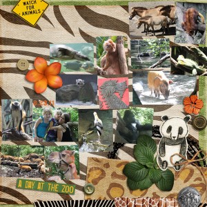 Safari in the Bronx 2
