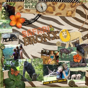 Safari in the Bronx 1