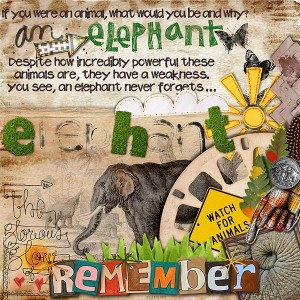 Elephant - Dare #312