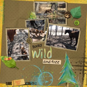 Wild & Free