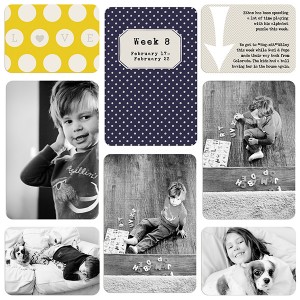 PROJECT LIFE - week 8