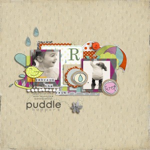 Puddle hopper