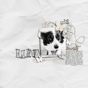 Sweet Sweet Luna