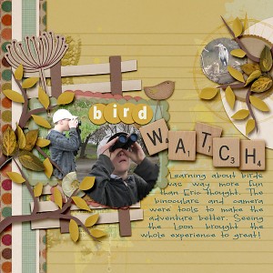 bird watch