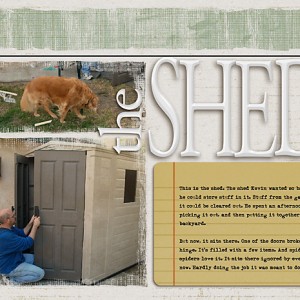 The Shed
