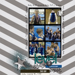 Level 5 State Meet